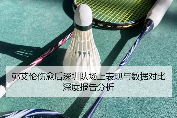 郭艾伦伤愈后深圳队场上表现与数据对比深度报告分析