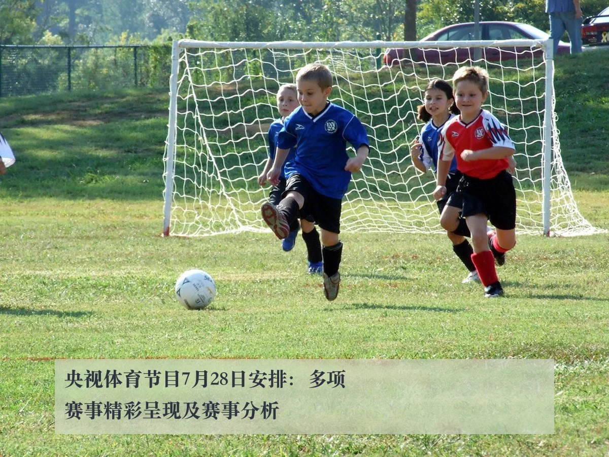 央视体育节目7月28日安排：多项赛事精彩呈现及赛事分析