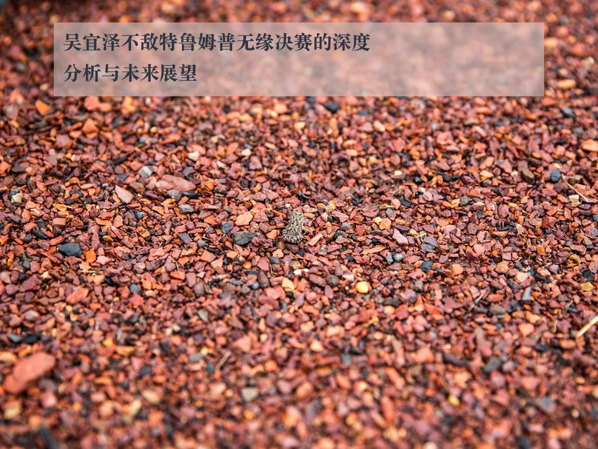 吴宜泽不敌特鲁姆普无缘决赛的深度分析与未来展望